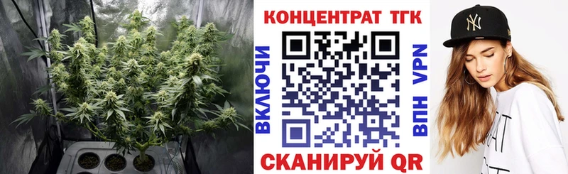 где купить наркоту  Отрадное  ссылка на мегу вход  ТГК гашишное масло 