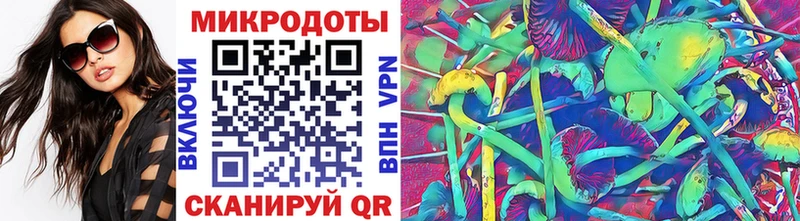 hydra ссылки Отрадное Псилоцибиновые грибы Psilocybine cubensis